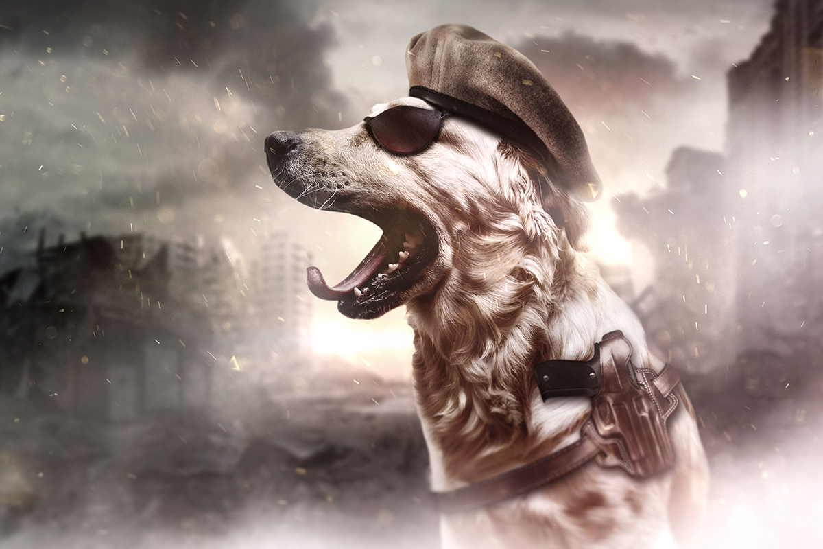 army-doggy