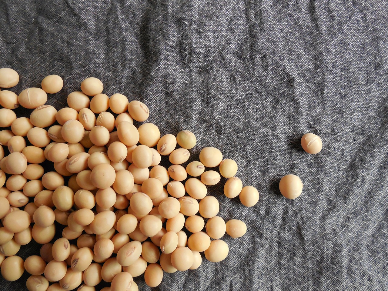 soybeans-182294_1280
