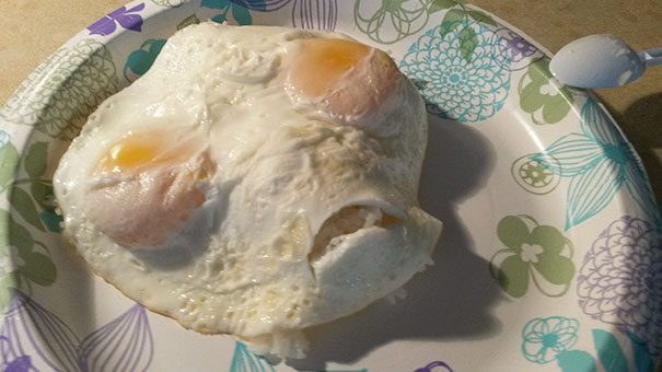 Zdroj: https://www.reddit.com/r/pics/comments/4q3wym/kiiiilll_meeee_my_eggs_with_rice_this_morning/