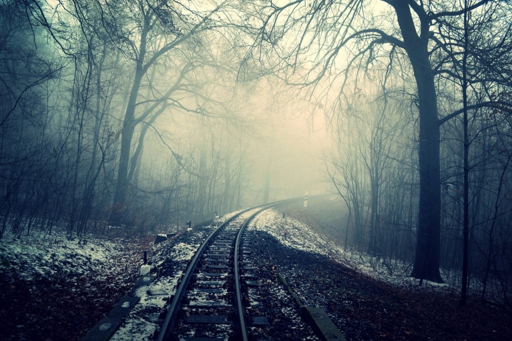 dark-curve-forest-rails