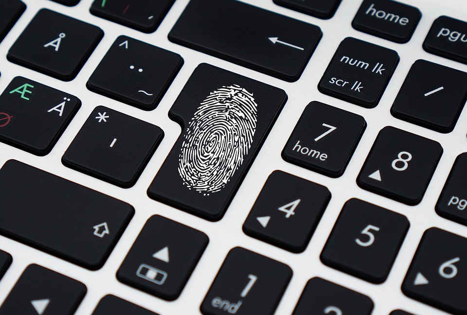 data_fingerprints