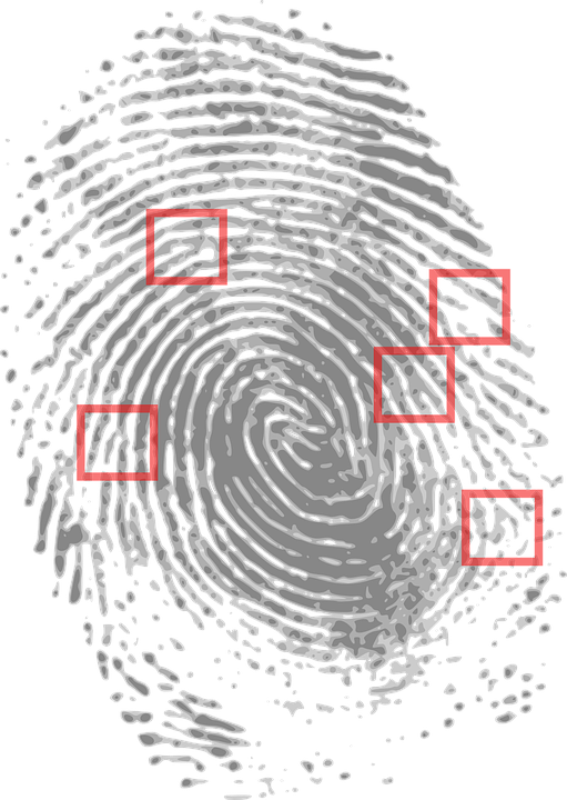 fingerprint-146242_960_720
