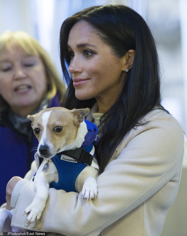 The Duchess of Sussex visits Mayhew on Wednesday 16th January to meet with staff, volunteers and beneficiaries, and hear more about the animal welfare charity?s various initiatives, from community engagement to international projects. This will be Her Royal Highness?s first official visit to Mayhew in her new role as Patron. PIC: Duchess meets a Jack Russel called "Minnie"